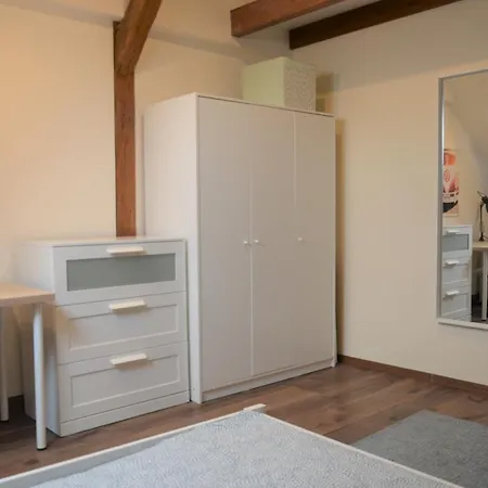 Habitación en casa particular Sokol House New Town Praga