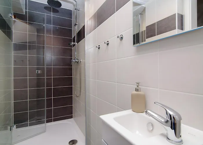 בית אירוח Sokol House New Town פראג