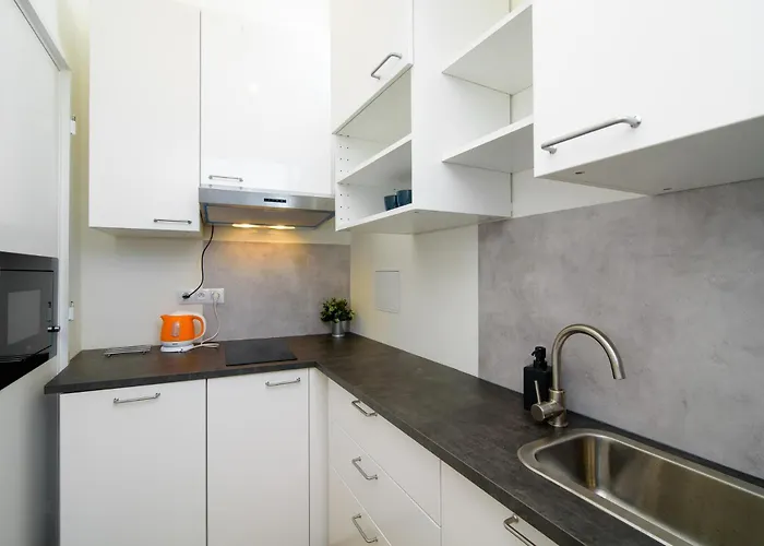 בית אירוח Sokol House New Town *